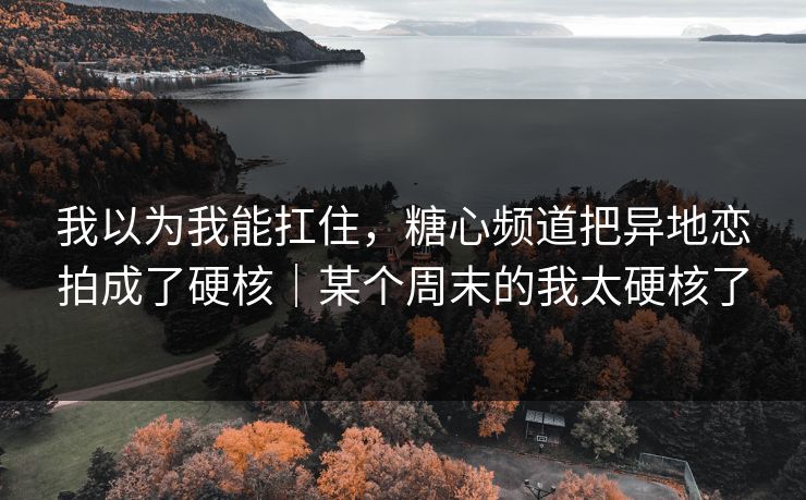 我以为我能扛住,糖心频道把异地恋拍成了硬核|某个周末的我太硬核了