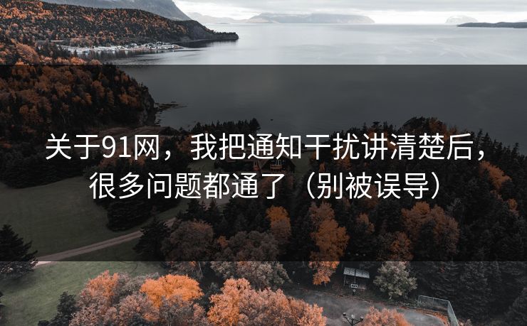 关于91网,我把通知干扰讲清楚后,很多问题都通了(别被误导) 关于91网,我把通知干扰讲清楚后,很多问题都通了(别被误导)