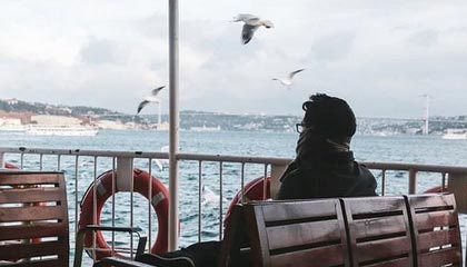 高校长白老师第三章心得体会：教育路上的智慧沉淀与人文关怀