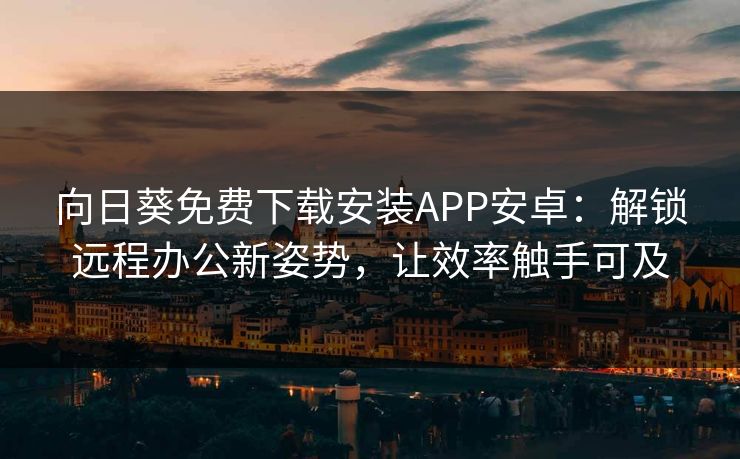 向日葵免费下载安装APP安卓：解锁远程办公新姿势，让效率触手可及