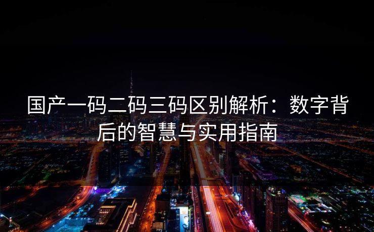 国产一码二码三码区别解析：数字背后的智慧与实用指南
