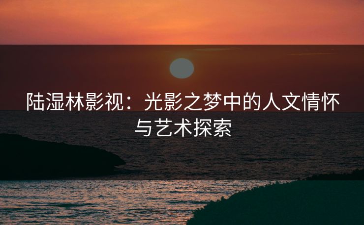 陆湿林影视:光影之梦中的人文情怀与艺术探索