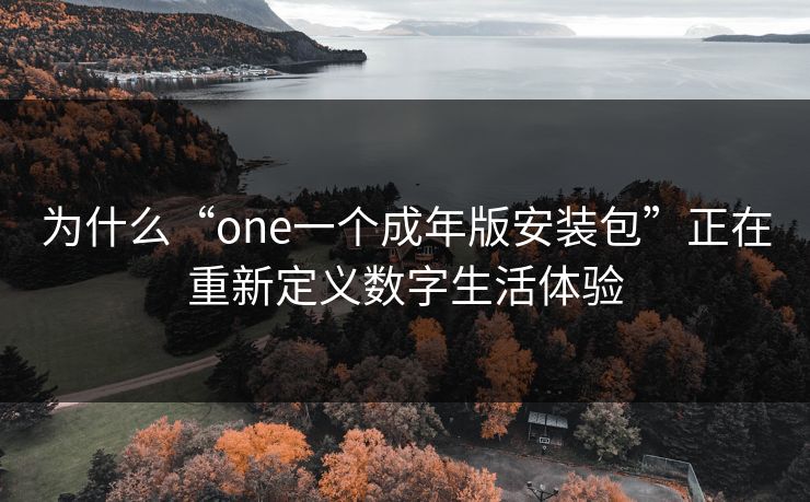 为什么“one一个成年版安装包”正在重新定义数字生活体验
