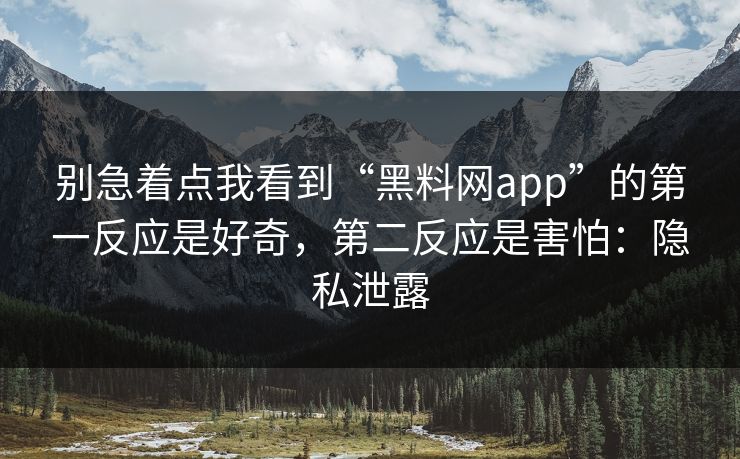 别急着点我看到“黑料网app”的第一反应是好奇，第二反应是害怕：隐私泄露
